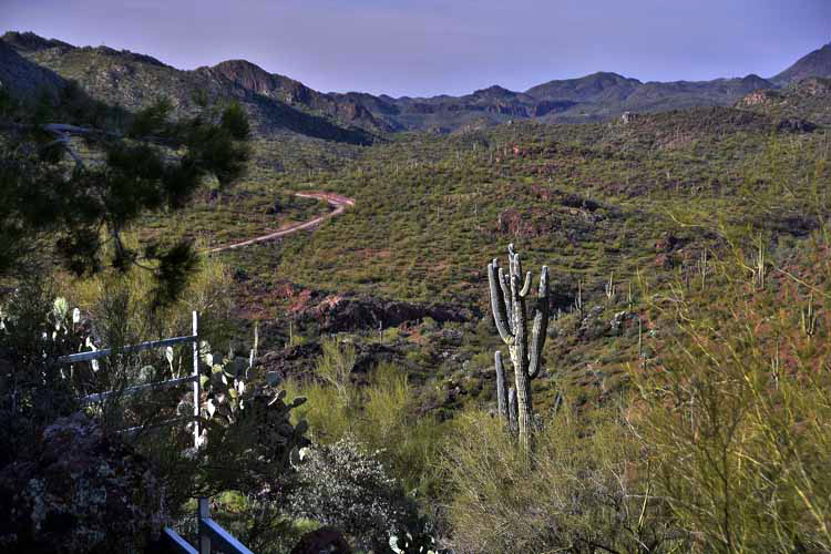 mountains